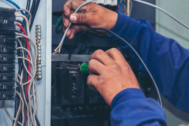 Best Electric Panel Repair  in Fort Llins, CO